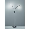 Fischer & Honsel Dent Staande lamp LED Zwart, 2-lichts