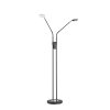 Fischer & Honsel Dent Staande lamp LED Zwart, 2-lichts