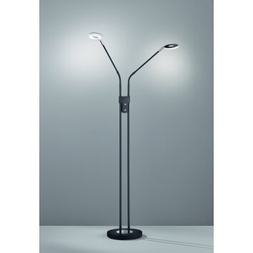 Fischer & Honsel Dent Staande lamp LED Zwart, 2-lichts