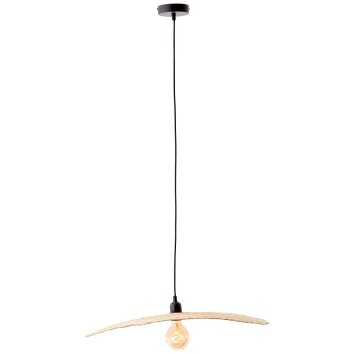 Brilliant Jefter Hanglamp Zwart, 1-licht