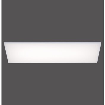 Paul Neuhaus FRAMELESS Plafondlamp LED Wit, 1-licht, Afstandsbediening, Kleurwisselaar