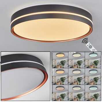 Cachalot Plafondlamp LED Koperkleurig, Zwart, 1-licht, Afstandsbediening, Kleurwisselaar