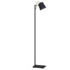 Eglo LACEY Staande lamp Bruin, Zwart, 1-licht