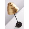 Holländer SNAIL ONE Tafellamp Bruin, Goud, 1-licht