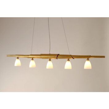 Holländer INNOVAZIONE Hanger Goud, 5-lichts