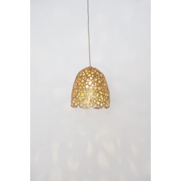 Holländer LILY PICCOLO Hanglamp Goud, 1-licht