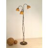 Holländer SNAIL ONE Staande lamp Bruin, Goud, 3-lichts