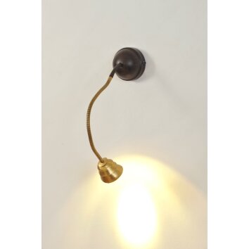 Holländer SNAIL TWO Muurlamp Bruin, Goud, Zwart, 1-licht