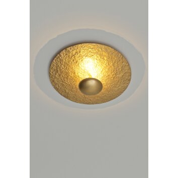 Holländer POLPETTA Plafondlamp LED Goud, 2-lichts