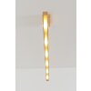 Holländer UNIVERSO Hanger LED Goud, 6-lichts