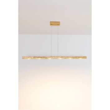 Holländer UNIVERSO Hanger LED Goud, 6-lichts