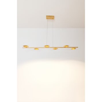 Holländer SIMULATORE Hanger LED Goud, 6-lichts