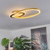 Deroche Plafondlamp LED Goud, Zwart, 1-licht