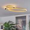 Deroche Plafondlamp LED Goud, Zwart, 1-licht