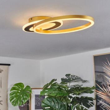 Deroche Plafondlamp LED Goud, Zwart, 1-licht