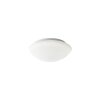 Fischer & Honsel Clara Plafondlamp LED Wit, 1-licht