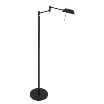 Steinhauer Retina Staande lamp LED Zwart, 1-licht