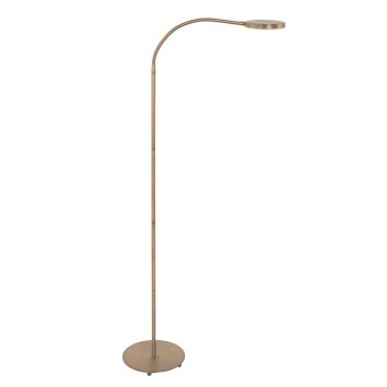 Steinhauer Platu Staande lamp LED Brons, 1-licht