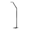 Fischer & Honsel Rike Staande lamp LED Zwart, 1-licht