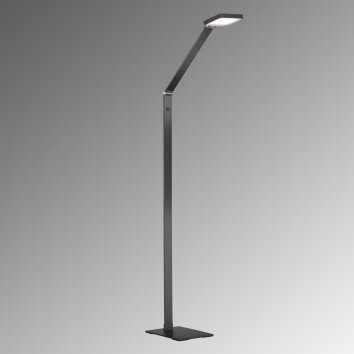 Fischer & Honsel Rike Staande lamp LED Zwart, 1-licht