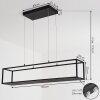 Ranquile Hanglamp LED Zwart, 4-lichts