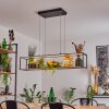 Ranquile Hanglamp LED Zwart, 4-lichts