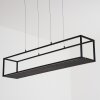 Ranquile Hanglamp LED Zwart, 4-lichts