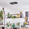 Ranquile Hanglamp LED Zwart, 4-lichts