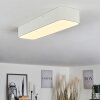 Iriondo Plafondlamp LED Wit, 1-licht, Afstandsbediening