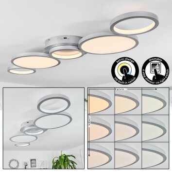 Carabajal Plafondlamp LED Titan, 1-licht