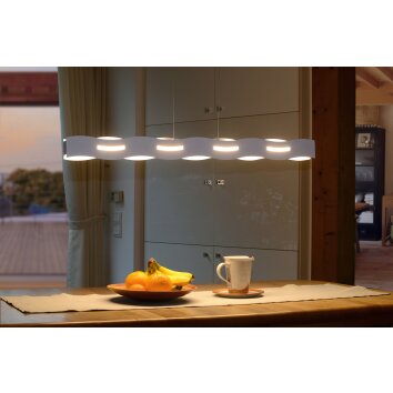 Nagold Hanglamp LED Wit, 1-licht