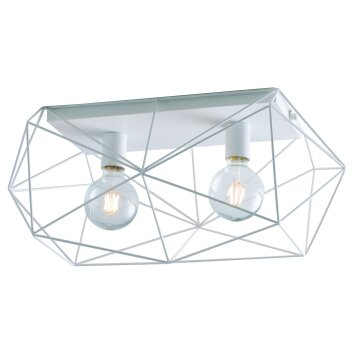 Babol Plafondlamp Wit, 2-lichts