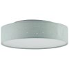 Brilliant Baska Plafondlamp LED Zilver, 1-licht