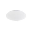 Fischer & Honsel Mona Plafondlamp LED Wit, 1-licht