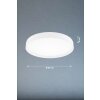 Fischer & Honsel Paon Plafondlamp LED Wit, 1-licht