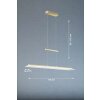 Fischer & Honsel ROOF Hanglamp LED Messing, 1-licht