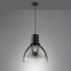 Fischer & Honsel Londo Hanglamp Zwart, 1-licht