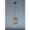 Fischer & Honsel Hummel Hanglamp Zwart, 1-licht