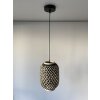 Fischer & Honsel Hummel Hanglamp Zwart, 1-licht