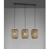 Fischer & Honsel Hummel Hanglamp Zwart, 3-lichts