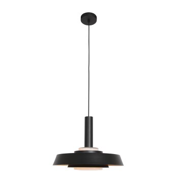 Steinhauer Flinter Hanglamp Zwart, 1-licht