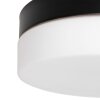 Steinhauer Ikaro Plafondlamp LED Zwart, 1-licht