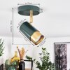 Campanas Plafondlamp Groen, Messing, 1-licht