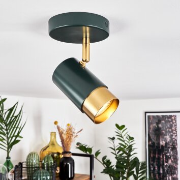 Campanas Plafondlamp Groen, Messing, 1-licht