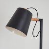 Cerrizal Staande lamp Natuurlijke kleuren, Zwart, 1-licht