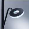 Fischer & Honsel Dent Staande lamp LED Zwart, 1-licht