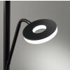 Fischer & Honsel Dent Staande lamp LED Zwart, 1-licht