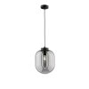 Fischer & Honsel Regi Hanglamp Zwart, 1-licht