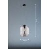 Fischer & Honsel Regi Hanglamp Zwart, 1-licht