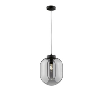 Fischer & Honsel Regi Hanglamp Zwart, 1-licht